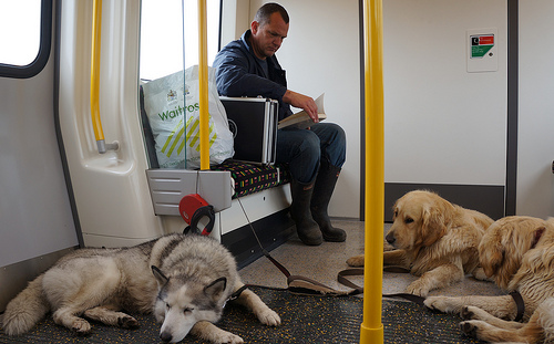 Out of the Ordinary_True Tales of Everyday Craziness_Jon Ronson by Read Me Something You Love