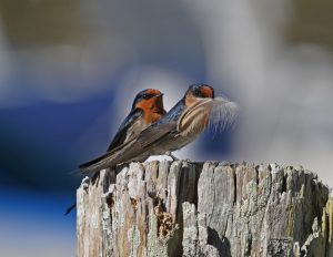 Christina Port photograph