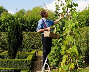 article-2115515-1226D434000005DC-371_634x513